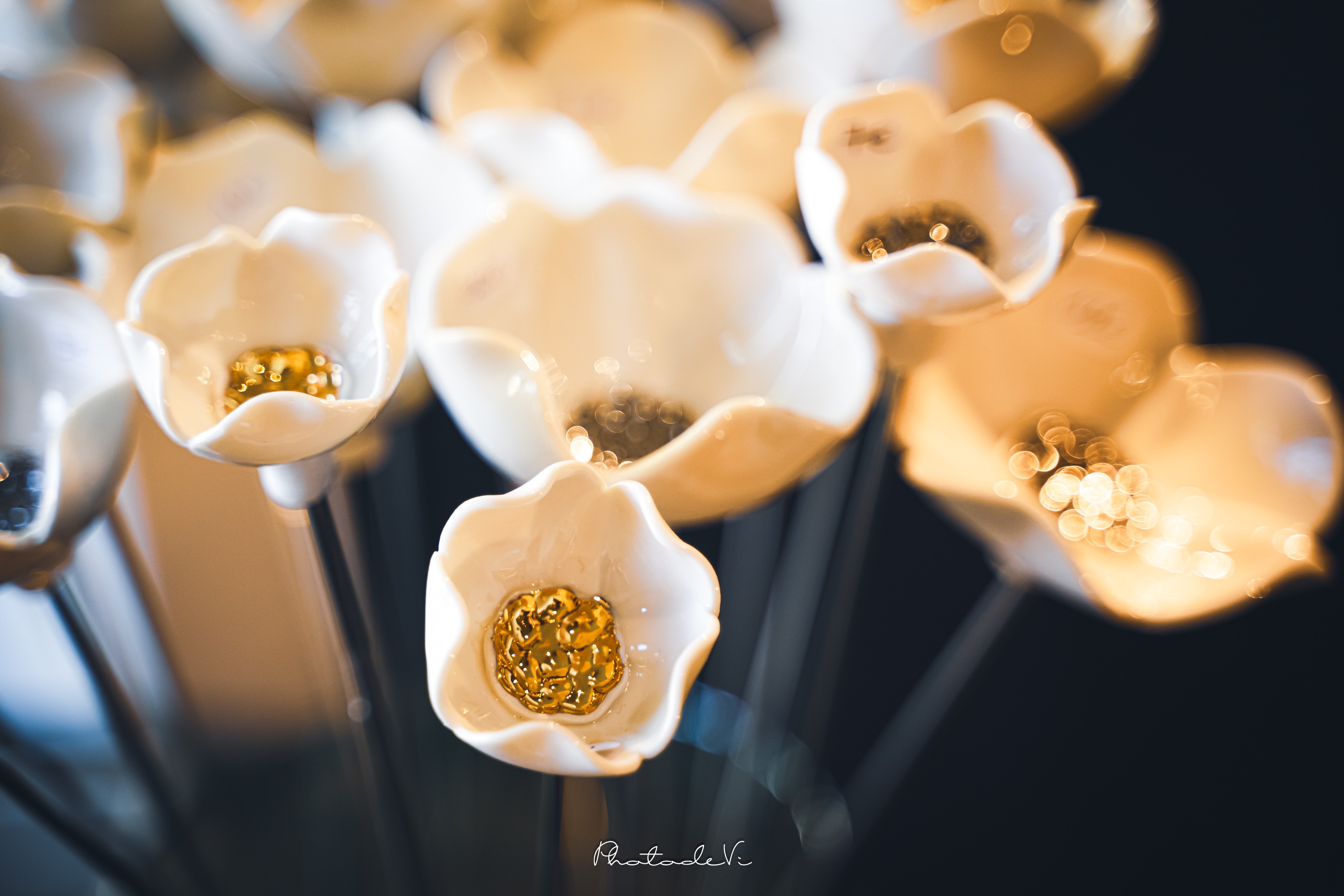maison-ceramique-boutique-porcelaine-fleurs-nathalie-defert